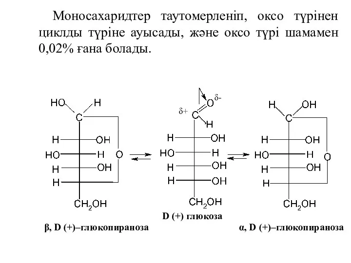 Моносахаридтер таутомерленіп, оксо түрінен циклды түріне ауысады, және оксо түрі