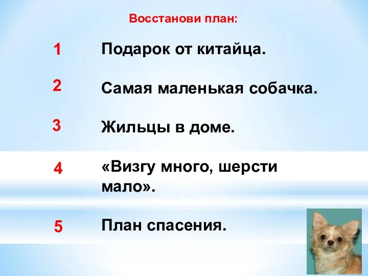 Подарок от китайца. Самая маленькая собачка. Жильцы в доме. «Визгу