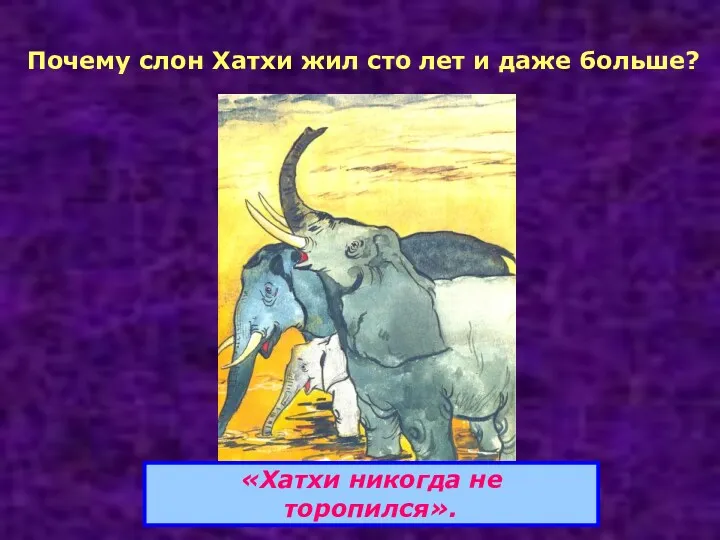 Почему слон Хатхи жил сто лет и даже больше? «Хатхи никогда не торопился».