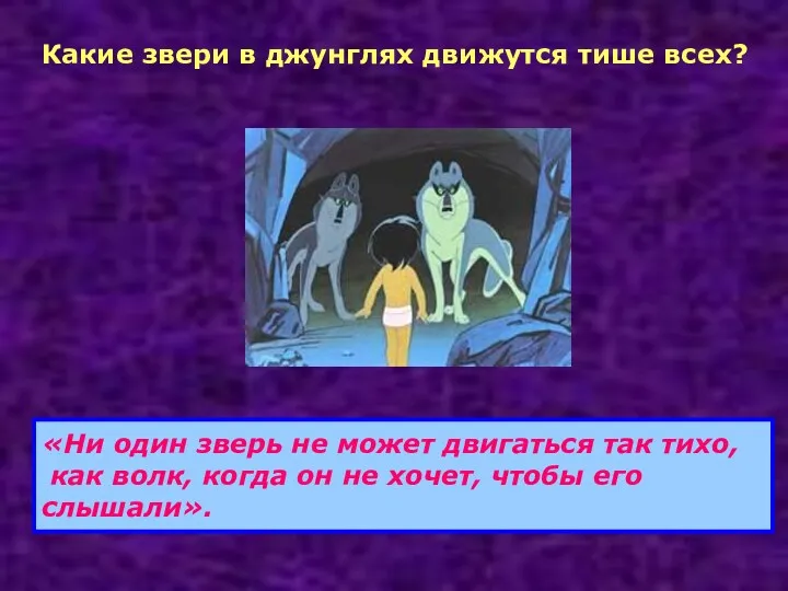 Какие звери в джунглях движутся тише всех? «Ни один зверь