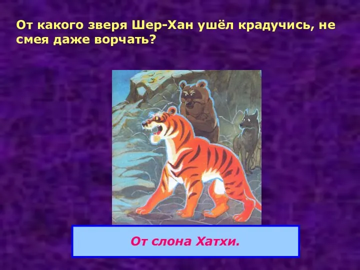 От какого зверя Шер-Хан ушёл крадучись, не смея даже ворчать? От слона Хатхи.