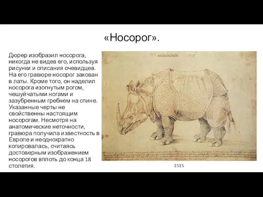 «Носорог». Дюрер изобразил носорога, никогда не видев его, используя рисунки