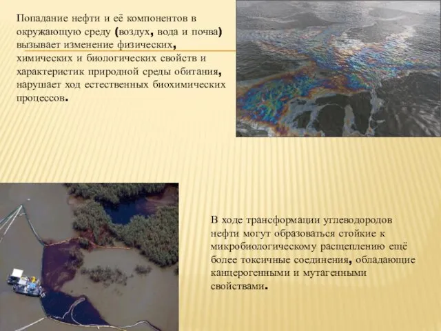 В ходе трансформации углеводородов нефти могут образоваться стойкие к микробиологическому