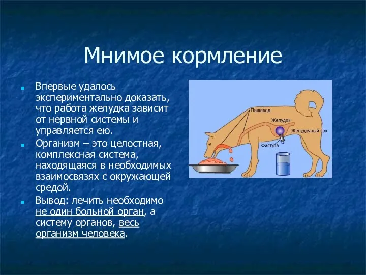 Мнимое кормление Впервые удалось экспериментально доказать, что работа желудка зависит