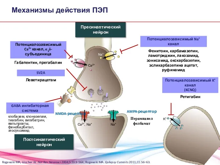 Механизмы действия ПЭП Rogawski MA, Löscher W. Nat Rev Neurosci