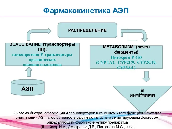 АЭП ВСАСЫВАНИЕ (транспортеры ЛП): гликопротеин Р, транспортеры органических анионов и