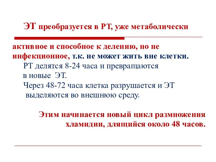 ЭТ преобразуется в РТ, уже метаболически активное и способное к делению, но не