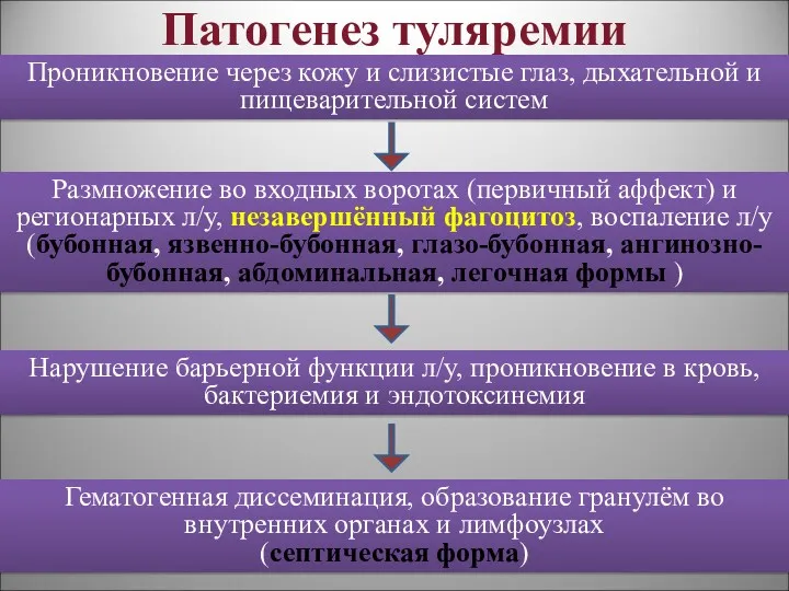 Патогенез туляремии Проникновение через кожу и слизистые глаз, дыхательной и