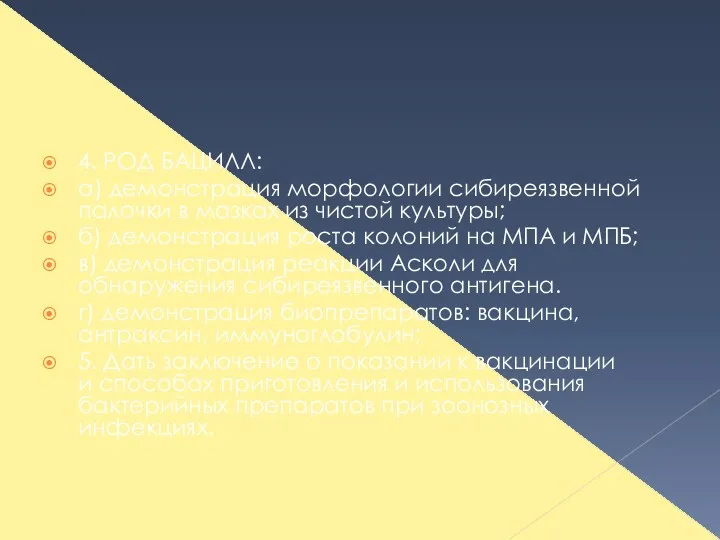 4. РОД БАЦИЛЛ: а) демонстрация морфологии сибиреязвенной палочки в мазках