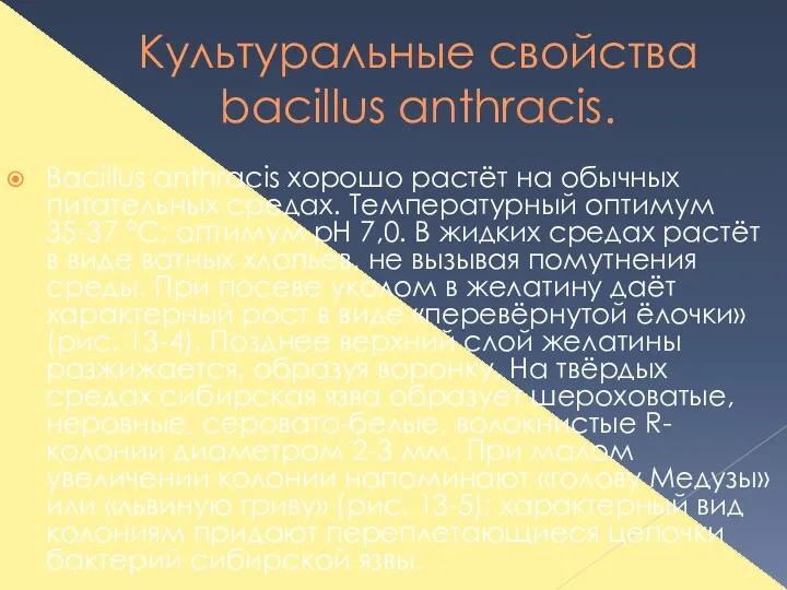 Культуральные свойства bacillus anthracis. Вacillus anthracis хорошо растёт на обычных