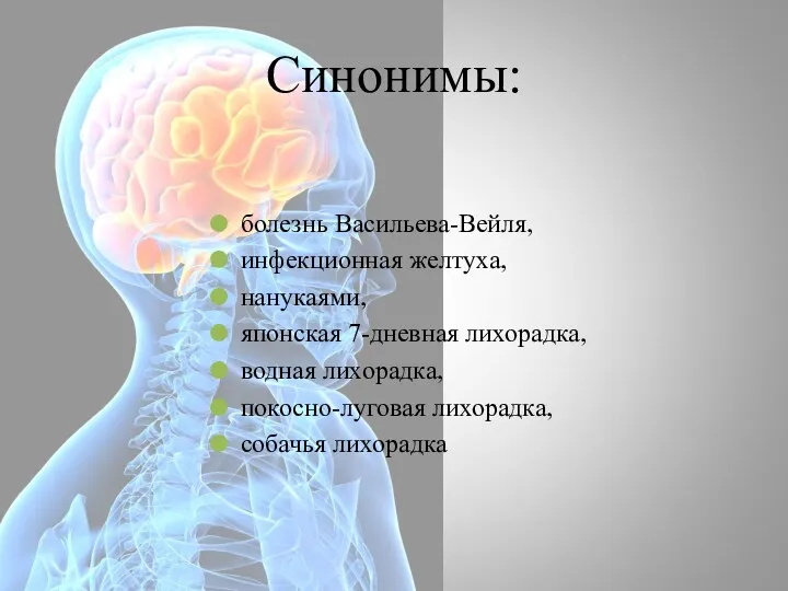 болезнь Васильева-Вейля, инфекционная желтуха, нанукаями, японская 7-дневная лихорадка, водная лихорадка, покосно-луговая лихорадка, собачья лихорадка Синонимы: