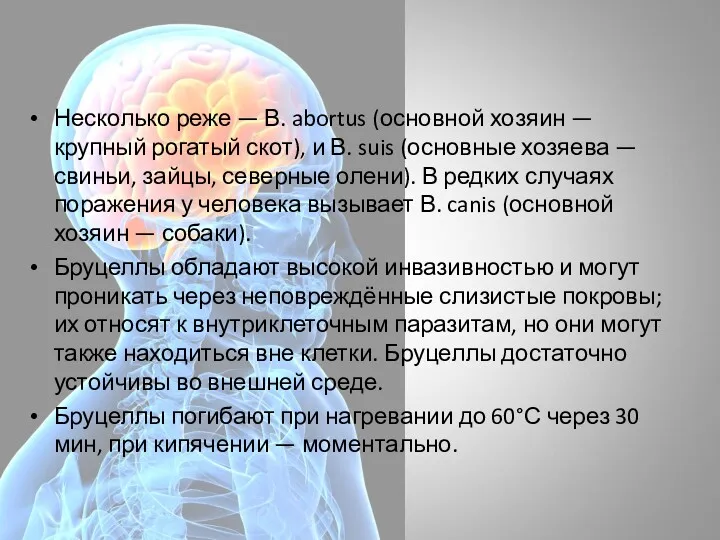 Несколько реже — В. abortus (основной хозяин — крупный рогатый