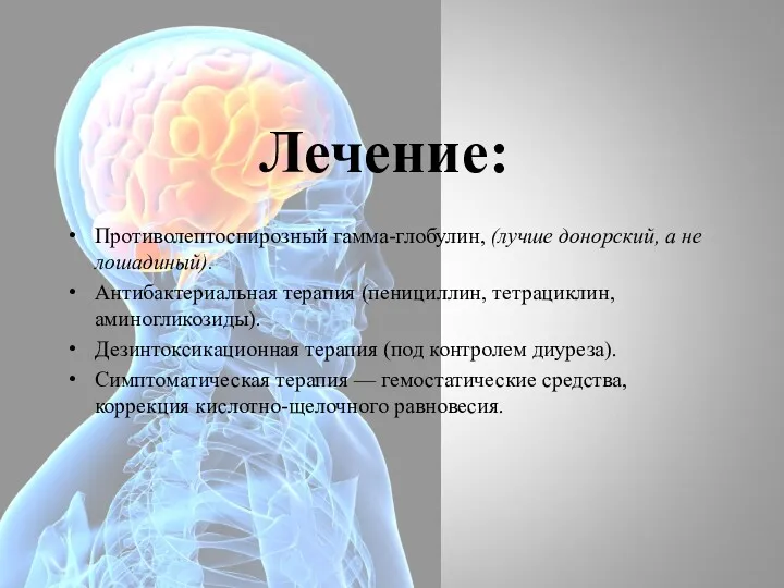 Лечение: Противолептоспирозный гамма-глобулин, (лучше донорский, а не лошадиный). Антибактериальная терапия