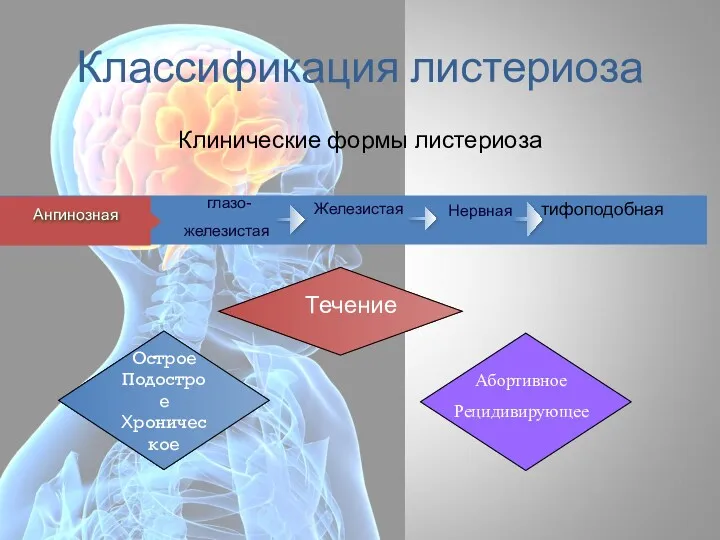 Классификация листериоза глазо- железистая Ангинозная Нервная Железистая Острое Подострое Хроническое