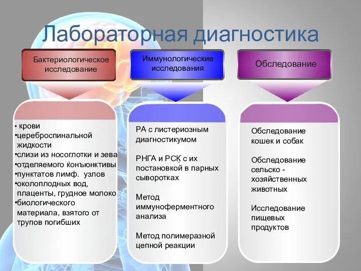 Лабораторная диагностика . крови цереброспинальной жидкости слизи из носоглотки и