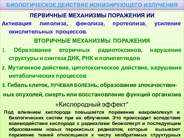 БИОЛОГИЧЕСКОЕ ДЕЙСТВИЕ ИОНИЗИРУЮЩЕГО ИЗЛУЧЕНИЯ ПЕРВИЧНЫЕ МЕХАНИЗМЫ ПОРАЖЕНИЯ ИИ Активация липолиза,