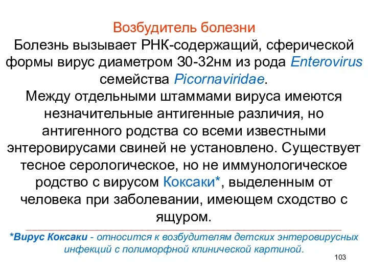 Возбудитель болезни Болезнь вызывает РНК-содержащий, сферической формы вирус диаметром З0-32нм из рода Enterovirus