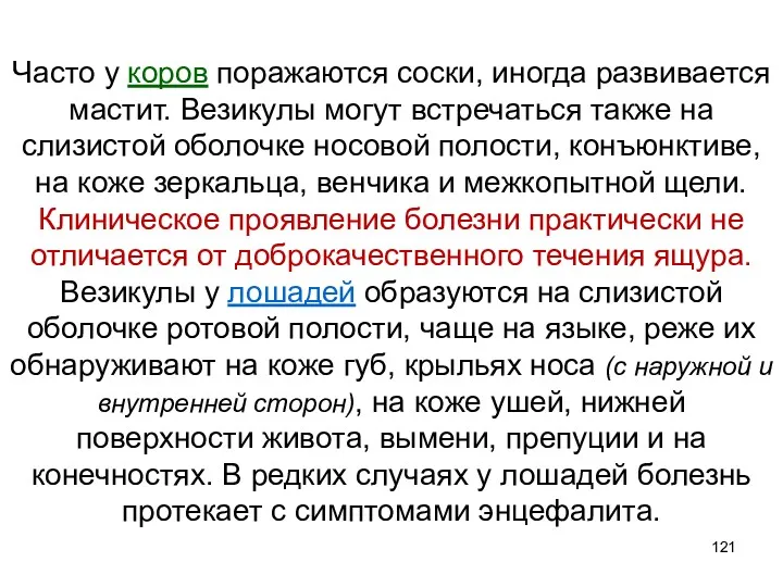 Часто у коров поражаются соски, иногда развивается мастит. Везикулы могут встречаться также на