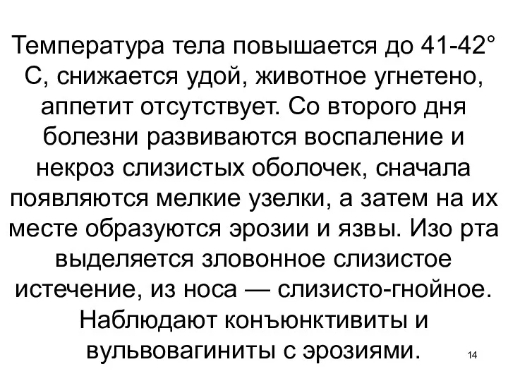 Температура тела повышается до 41-42°С, снижается удой, животное угнетено, аппетит отсутствует. Со второго