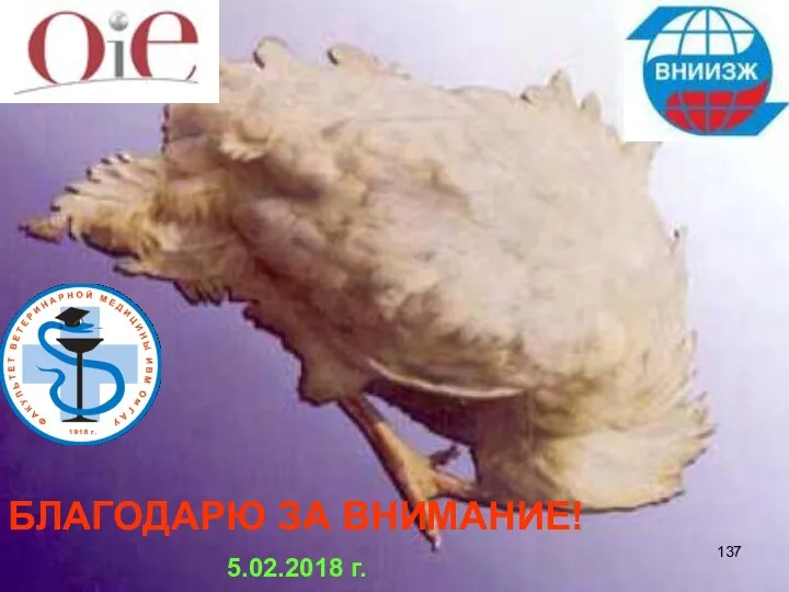 БЛАГОДАРЮ ЗА ВНИМАНИЕ! 5.02.2018 г.