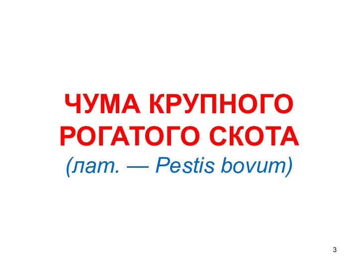 ЧУМА КРУПНОГО РОГАТОГО СКОТА (лат. — Pestis bovum)