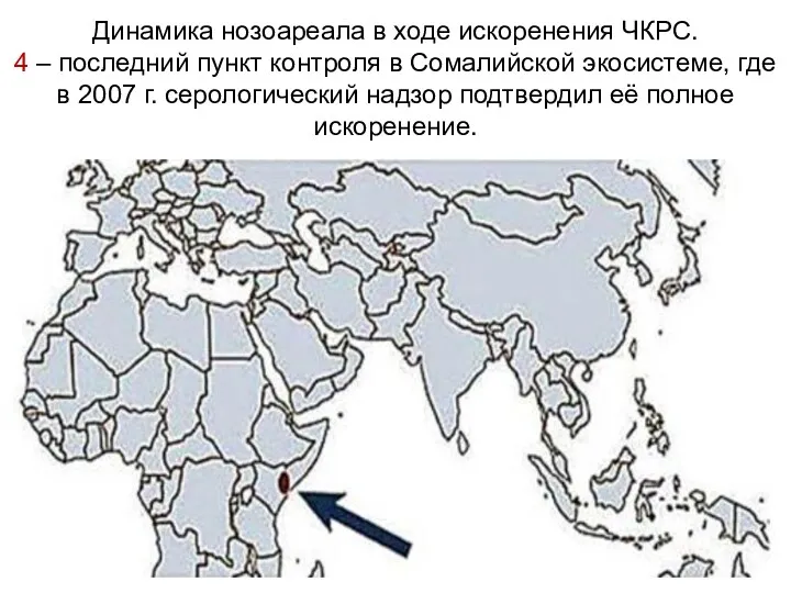 Динамика нозоареала в ходе искоренения ЧКРС. 4 – последний пункт контроля в Сомалийской