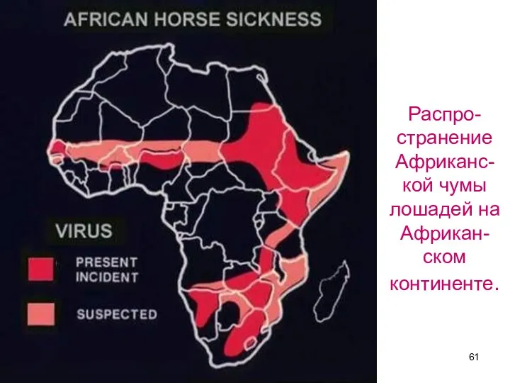 Распро-странение Африканс-кой чумы лошадей на Африкан-ском континенте.