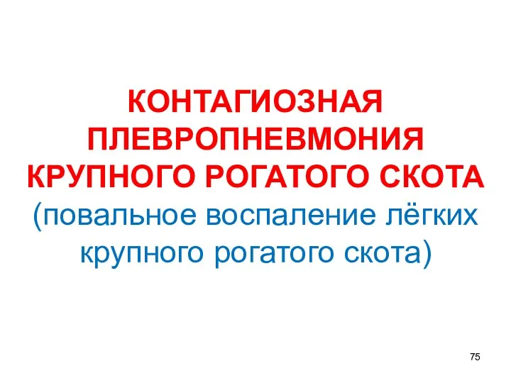 КОНТАГИОЗНАЯ ПЛЕВРОПНЕВМОНИЯ КРУПНОГО РОГАТОГО СКОТА (повальное воспаление лёгких крупного рогатого скота)