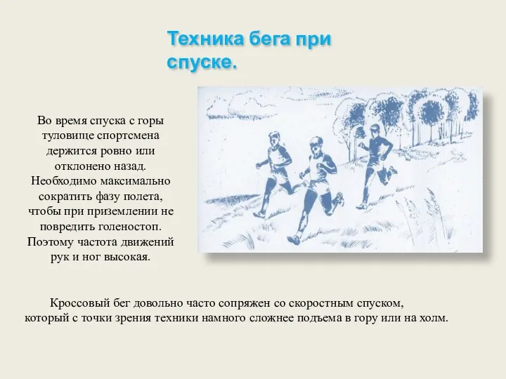 Во время спуска с горы туловище спортсмена держится ровно или