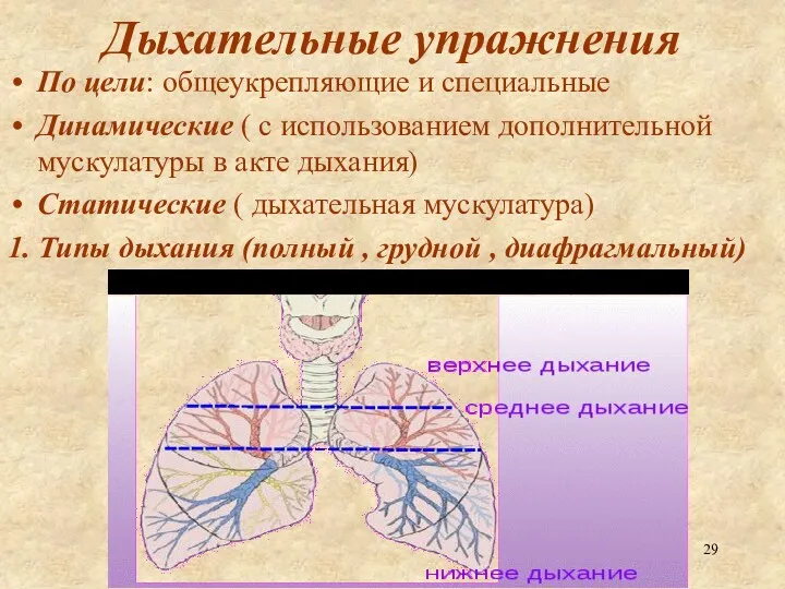 Дыхательные упражнения По цели: общеукрепляющие и специальные Динамические ( с