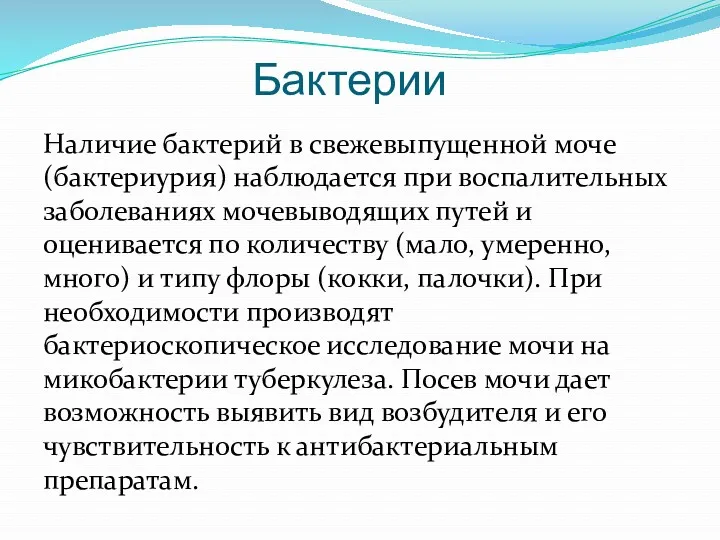 Бактерии Наличие бактерий в свежевыпущенной моче (бактериурия) наблюдается при воспалительных