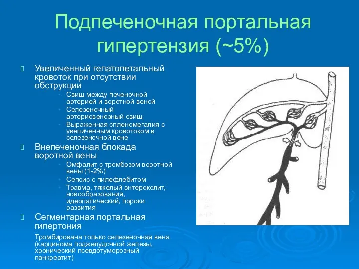 Подпеченочная портальная гипертензия (~5%) Увеличенный гепатопетальный кровоток при отсутствии обструкции