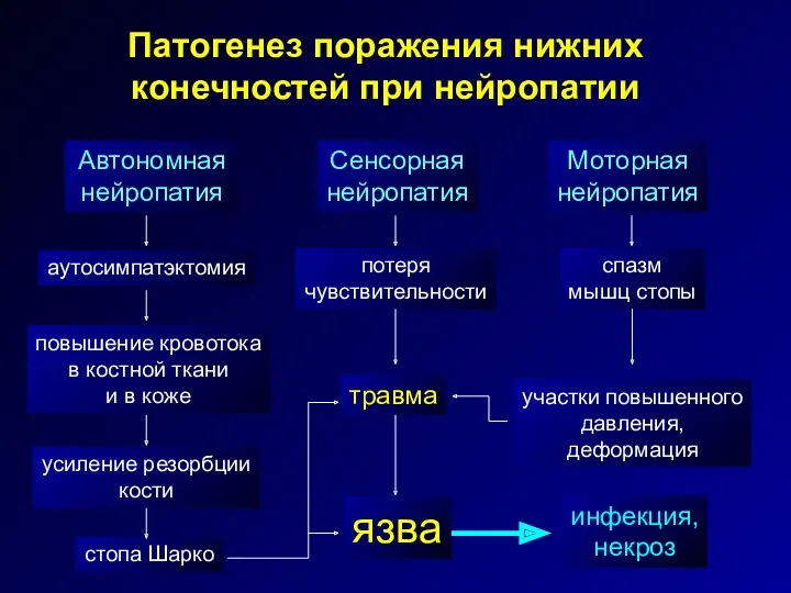 Патогенез поражения нижних конечностей при нейропатии Автономная нейропатия Сенсорная нейропатия