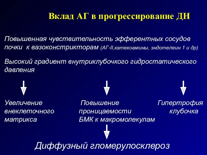 Вклад АГ в прогрессирование ДН Повышенная чувствительность эфферентных сосудов почки