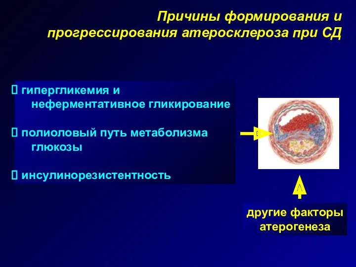 Причины формирования и прогрессирования атеросклероза при СД гипергликемия и неферментативное