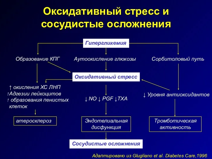 Оксидативный стресс и сосудистые осложнения Гипергликемия Оксидативный стресс ↑ окисления