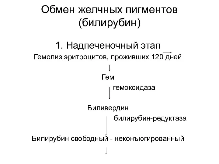 Обмен желчных пигментов (билирубин) 1. Надпеченочный этап Гемолиз эритроцитов, проживших