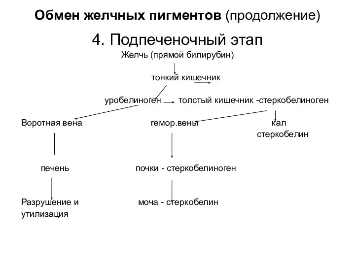 Обмен желчных пигментов (продолжение) 4. Подпеченочный этап Желчь (прямой билирубин)