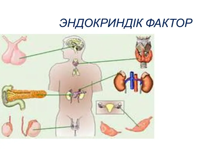 ЭНДОКРИНДІК ФАКТОР