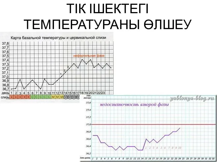 ТІК ІШЕКТЕГІ ТЕМПЕРАТУРАНЫ ӨЛШЕУ