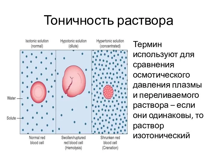 Тоничность раствора Термин используют для сравнения осмотического давления плазмы и