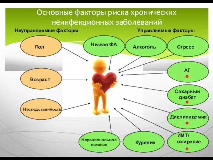 Основные факторы риска хронических неинфекционных заболеваний Неуправляемые факторы Пол Возраст Управляемые факторы АГ