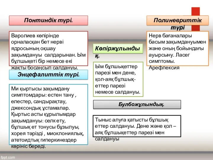 Понтиндік түрі. Варолиев көпірінде орналасқан бет нерві ядросының оқшау зақымдануы