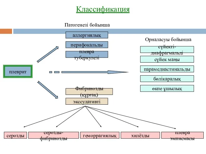 Классификация плеврит аллергиялық перифокальды плевра туберкулезі Фибринозды(құрғақ) экссудативті плевра эмпиемасы