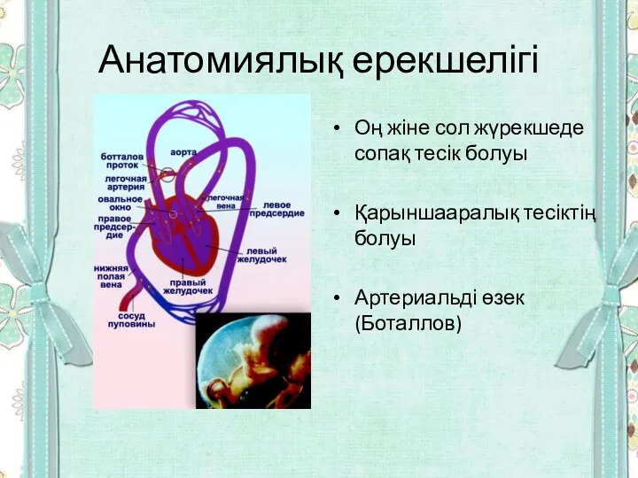 Анатомиялық ерекшелігі Оң жіне сол жүрекшеде сопақ тесік болуы Қарыншааралық тесіктің болуы Артериальді өзек (Боталлов)
