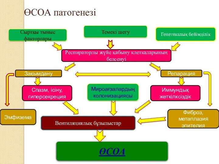 ӨСОА патогенезі Сыртқы тыныс факторлары Темекі шегу Респираторлы жүйе қабыну