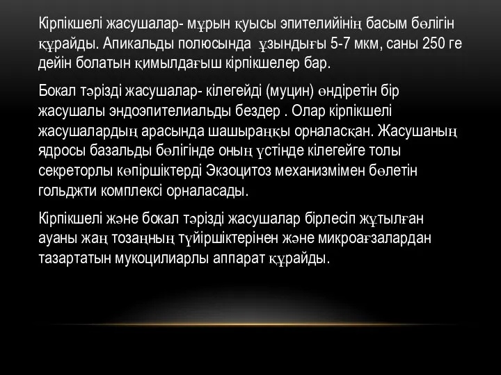 Кірпікшелі жасушалар- мұрын қуысы эпителийінің басым бөлігін құрайды. Апикальды полюсында