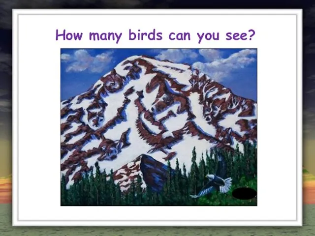 How many birds can you see?