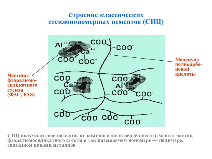 строение классических стеклоиономерных цементов (СИЦ) Частицы фторалюмо-силикатного стекла (ФАС, FAS) Молекула поликарбо-новой кислоты