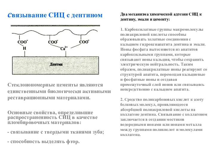 Стеклоиономерные цементы являются единственными биологически активными реставрационными материалами. Основные свойства, определившие распространенность СИЦ